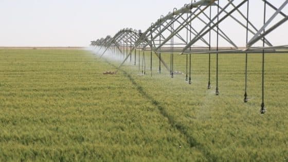 الزراعة تعلن شمول 4.5 ملايين دونم بالري الحديث هذا الشتاء