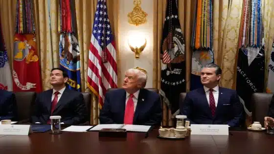 جائزة نوبل لمن قصفنا… وكرسي رئاسة الوزراء لمن باعنا – اعقروا الجمل فإنّ في بقائه فناء