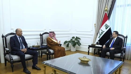 رئيس الوزراء يأمر بتخصيص أرض لإقامة فندق ومركز تطوير سياحي