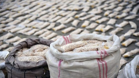 الإطاحة بتاجرين دوليين وضبط 51 كغم من المخدرات في ديالى والبصرة