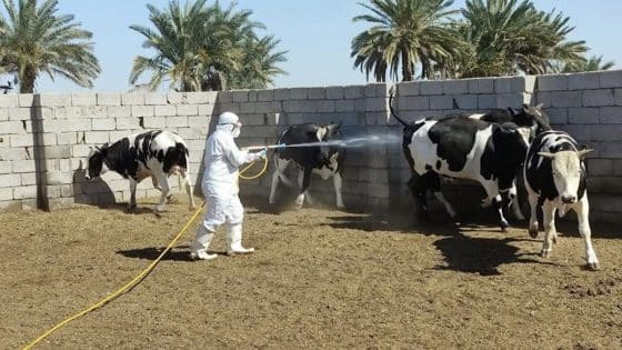 الزراعة تعلن اعتماد تقنية حديثة لمكافحة ناقل الحمى النزفية