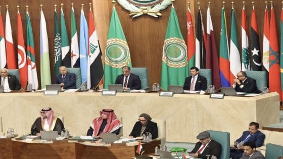 المبرقع من القاهرة: احترام سيادة الدول أساس الاستقرار الإقليمي