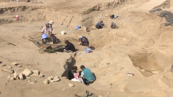 ذي قار: العثور على 1500 قطعة أثرية تعود الى حقب زمنية مختلفة