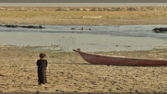 جفاف الأهوار في ميسان يفاقم معاناة السكان ويهدد الثروة الحيوانية
