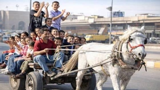 العيد بين طيبة الأمس وانشغال اليوم