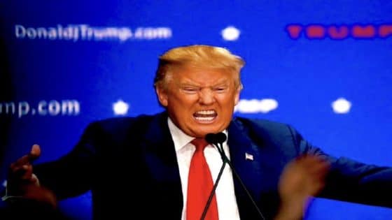 ‏ترامب: حلف الناتو “نمر من ورق” و”جبناء”