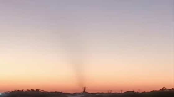 دخول حشرات بأعداد كبيره على شكل اعصار في محافظة ميسان