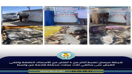 شرطة ميسان تضبط أكثر من 4 أطنان من الأسماك النافقة وتلقي القبض على سائقي ثلاث عجلات محمّلة قادمة من محافظة واسط