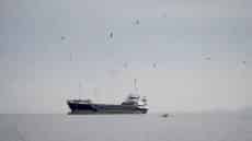 أكسيوس: ترامب يدرس استئناف الضربات ضد إيران بحال لم ينجح الحصار البحري