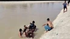 انتشال جثة شاب من نهر دجلة في الماجدية خلال وقت قياسي