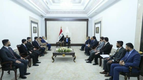 رئيس الوزراء يستقبل ممثلي الأطباء المقيمين الدوريين العاملين في مؤسسات وزارة الصحة