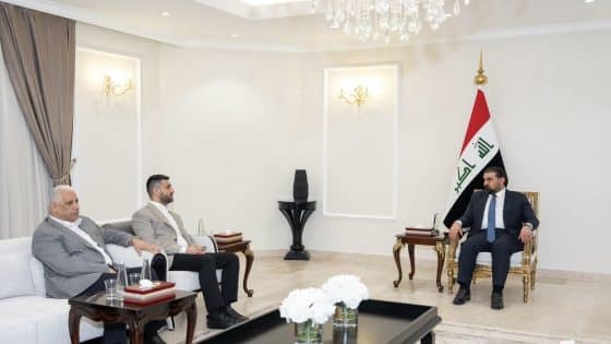 رئيس مجلس النواب ووزير الكهرباء يبحثان المشاكل التي تواجه قطاع الطاقة