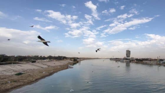 الأنواء الجوية: لا مؤشرات على عواصف غبارية شديدة خلال الأيام المقبلة